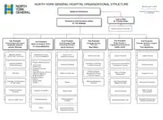 Hospital Organizational Chart Format Template