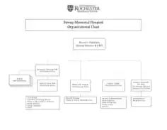 Hospital Organizational Chart Sample Template