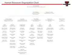 Human Resources Organizational Chart Example Template