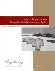 Free Download PDF Books, Matrix Management Business Organizational Chart Template
