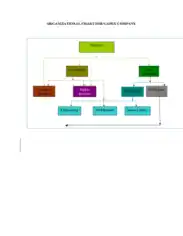 Organizational Chart For Gapex Company Template