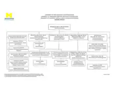 Printable Hospital Organizational Chart Template