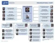 Sample Blank Organizational Chart Template