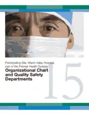 Sample Hospital Organizational Chart Template