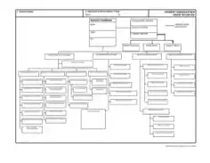 Sample Ics Organizational Chart Template