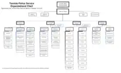 Standard Blank Organizational Chart Template