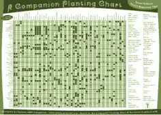 Poster Gdn Com Plant Chart Template