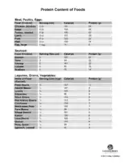 Protein Content of Food Chart Template