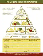 Vegetarian Food Pyramid Calorie Chart Template