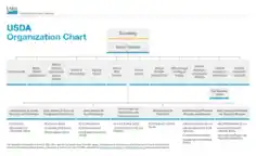 Basic USDA Organization Chart Template