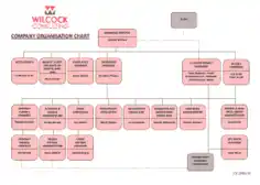 Company Organization Chart Template