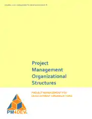 Project Organization Chart Template Template