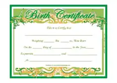New Born Baby Birth Certificate Template