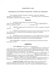 Employment Settlement Seperation Release Agreement Template