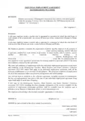 Free Download PDF Books, Individual Employment Agreement Form Template