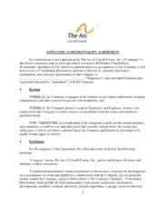 Professional Employment Confidentiality Agreement Template