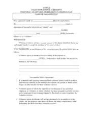 Voluntary Employment Termination Agreements Template