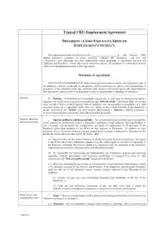 Typical CEO Employment Agreement Sample Template