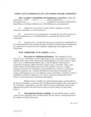 Business Consultant Confidentiality Agreement Template