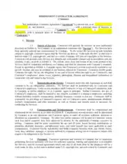 Independent Business Contract Template