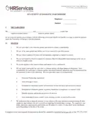 Statement of Domestic Partnership Agreement Template