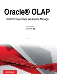 Free Download PDF Books, Oracle Olap Customizing Analytic Workspace Manager