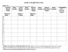 Free Download PDF Books, Daily Diabetes Log Template