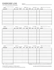 Sample Daily Exercise Log Template