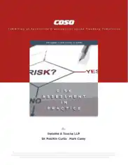 Free Download PDF Books, Business Risk Assessment in Practice Template