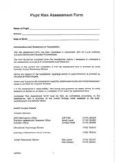 Blank Pupil Risk Assessment Form Template