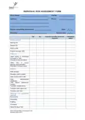 Individual Risk Assessment Form Example Template