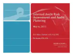 Internal Audit Risk Assessment and Planning Template