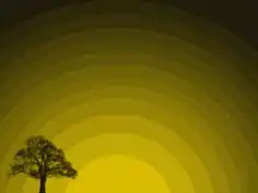 Tree Sunset PowerPoint Template