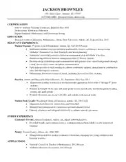 Sample Elementary Teacher CV Template