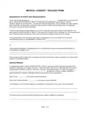 Free Download PDF Books, Medical Consent Release Form Template