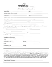 Medical Emergency Release Form Template
