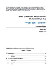Centers for Medicare Release Plan Template