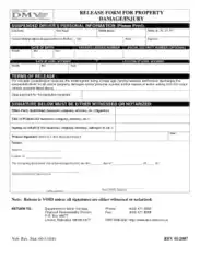 Vehicle Damage Release Form Template