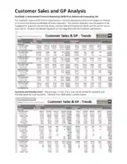 Free Download PDF Books, Analysis of Customer Sales Template