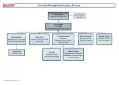 Analysis of Financial Management Template