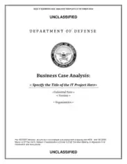 Business Case Analysis Template