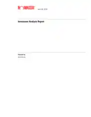 Business Investment Analysis Report Sample Template