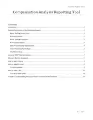 Free Download PDF Books, Compensation Analysis Reporting Tool Template