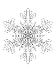 Free Download PDF Books, Snowflake Detailed 10 Coloring Template