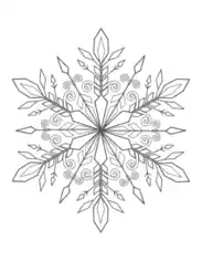 Free Download PDF Books, Snowflake Detailed 8 Coloring Template