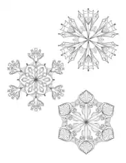 Free Download PDF Books, Snowflake Intricate Set Of 3 P1 Coloring Template