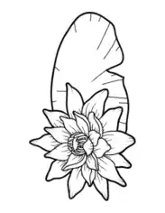 Free Download PDF Books, Flower Botanical Lotus Coloring Template