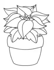 Flower Christmas Poinsettia Coloring Template