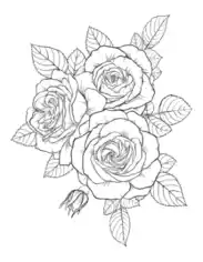 Free Download PDF Books, Flower Detailed Rose Arrangement Coloring Template