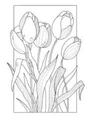 Flower Tulips Coloring Template